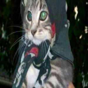 Meet your Posher, Karma